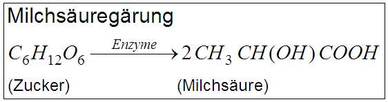 Michsäuregärung